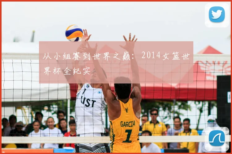 从小组赛到世界之巅：2014女篮世界杯全纪实