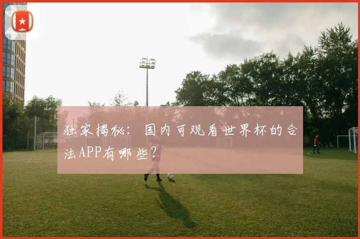独家揭秘：国内可观看世界杯的合法APP有哪些？