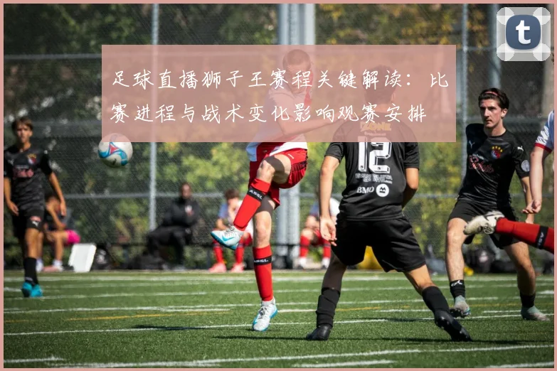 足球直播狮子王赛程关键解读：比赛进程与战术变化影响观赛安排